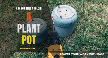 Exploring the Feasibility of Drilling Holes in Plant Pots: Everything You Need to Know