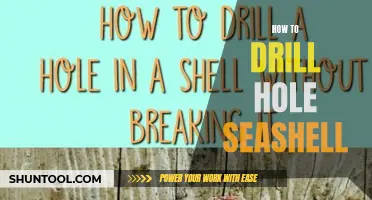 A Step-by-Step Guide on How to Drill a Hole in a Seashell