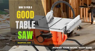 Table Saw Savvy: Navigating the Choices for Your Workshop
