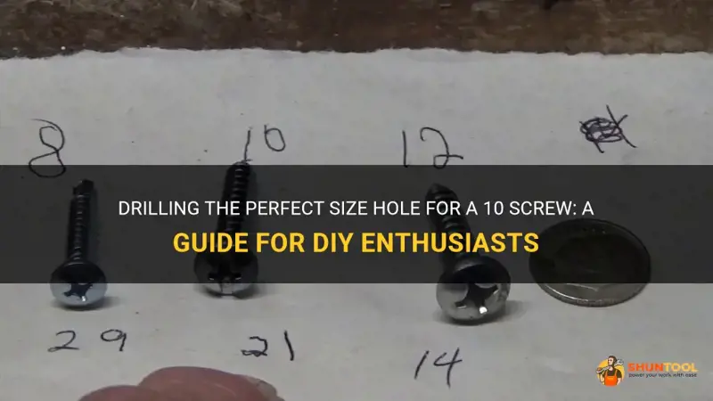 what size hole do you drill for a 10 swrew